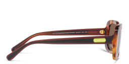 Shop Coach Oval Sunglasses in Havana online.