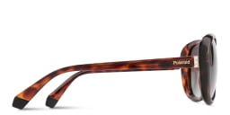 Shop Polaroid Square Sunglasses in Havana online.