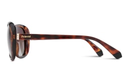 Shop Polaroid Square Sunglasses in Havana online.