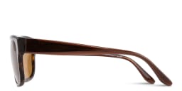 Shop Emporio Armani Logo Pillow Sunglasses in Havana online.