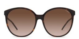 Shop Vogue Eyewear Oversized Round Sunglasses in Havana/Gradient Brown online.