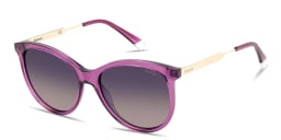 Shop Polaroid Engraved Logo Cat-Eye Sunglasses in Violet online.