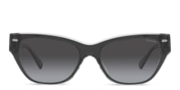 Shop Coach Cat-Eye Sunglasses in Black online.