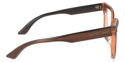 Shop Calvin Klein Cat-Eye Eyeglasses in Brown online.