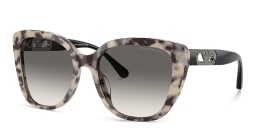 Shop Emporio Armani Cut-out Eagle Logo Butterfly Sunglasses in Havana online.