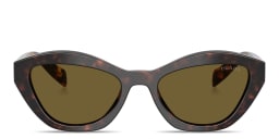 Shop PRADA Butterfly Sunglasses in Tortoise/Dark Brown online.