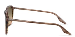Shop Ray-Ban Unisex Square Sunglasses in Striped Brown & Green online.