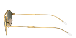 Shop Ray-Ban Unisex Oval Sunglasses in Gold online.