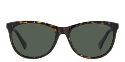 Shop Polaroid Logo Cat-Eye Sunglasses in Havana online.