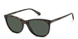 Shop Polaroid Logo Cat-Eye Sunglasses in Havana online.