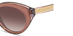 Shop Carolina Herrera Logo Cat-Eye Sunglasses in Brown online.