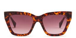Shop ALL SAINTS Logo Cat-Eye Sunglasses in Tortoise/Gradient Brown online.