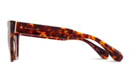 Shop ALL SAINTS Logo Cat-Eye Sunglasses in Tortoise online.