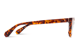 Shop ALL SAINTS Logo Cat-Eye Eyeglasses in Brown online.