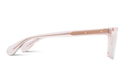 Shop ALL SAINTS Logo Cat-Eye Eyeglasses in Transparent Pink online.