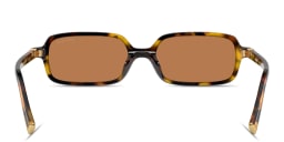 Shop MIU MIU Regard Rectangle Sunglasses in Havana online.