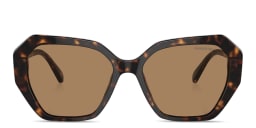 Shop Swarovski Crystal Irregular Sunglasses in Havana online.