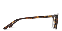Shop TRICE Unisex Round Eyeglasses with Blue Light Filter in Tortoise online.