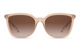Shop Armani Exchange A|X Logo Butterfly Sunglasses in Beige online.