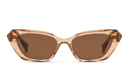 Shop ALL SAINTS Logo Signature Cat-Eye Sunglasses in Transparent Brown online.