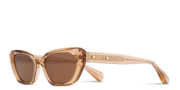 Shop ALL SAINTS Logo Signature Cat-Eye Sunglasses in Transparent Brown online.