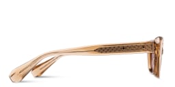Shop ALL SAINTS Logo Signature Cat-Eye Sunglasses in Transparent Brown online.