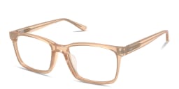 Shop Pair Eyewear The Kirby Eyeglasses in Honey Clear online.