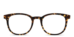 Shop Pair Eyewear The Reese Top in Tortoise/No Lens online.
