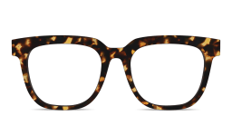 Shop Pair Eyewear The Payton Top in Tortoise online.