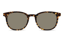 Shop Pair Eyewear The Reese Sun Top in Tortoise/Brown online.