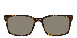 Shop Pair Eyewear The Kirby Sun Top in Tortoise/Brown online.