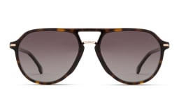 Shop Carrera Logo Signature Pilot Sunglasses in Havana online.
