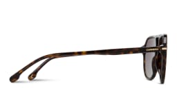 Shop Carrera Logo Signature Pilot Sunglasses in Havana online.
