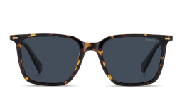 Shop Polaroid Logo Signature Square Sunglasses in Havana/Blue online.