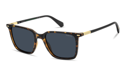 Shop Polaroid Logo Signature Square Sunglasses in Havana online.