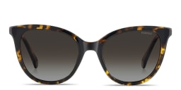 Shop Polaroid Engraved Logo Cat-Eye Sunglasses in Havana online.