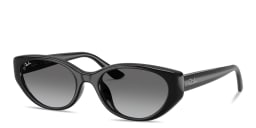 Shop Ray-Ban Logo Signature Unisex Pillow Sunglasses in Black online.