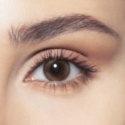 Shop Bella One-Day Color Contact Lenses - Venus in Venus online.