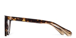 Shop ALL SAINTS Bella Cat-Eye Eyeglasses in Dark Tortoise online.
