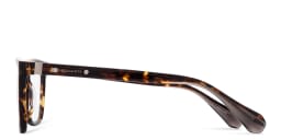 Shop ALL SAINTS Anders Wide Rectangle Eyeglasses in Dark Tortoise online.