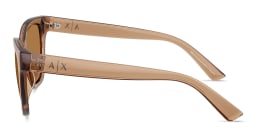 Shop Armani Exchange A|X Logo Cat-Eye Sunglasses in Transparent Brown online.