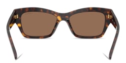 Shop Vogue Eyewear Logo Lettering Butterfly Sunglasses in Dark Havana online.