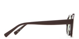 Shop TRICE Malaka Irregular Sunglasses in Brown online.