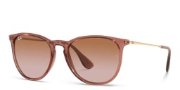Shop Ray-Ban Erika Classic Panthos Sunglasses in Transparent Brown online.