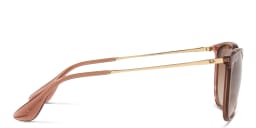 Shop Ray-Ban Erika Classic Panthos Sunglasses in Transparent Brown online.